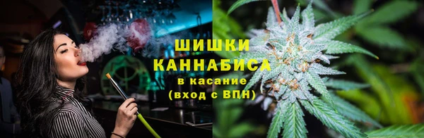 стаф Нефтегорск
