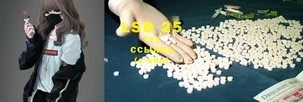 стаф Нефтегорск
