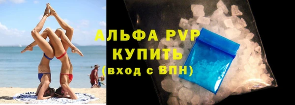 прущие грибы Гусиноозёрск