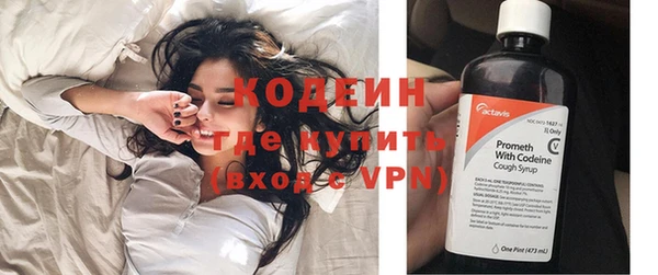 шишки Гусев