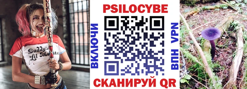 как найти закладки  omg ССЫЛКА  shop Telegram  Переславль-Залесский  Псилоцибиновые грибы Cubensis 