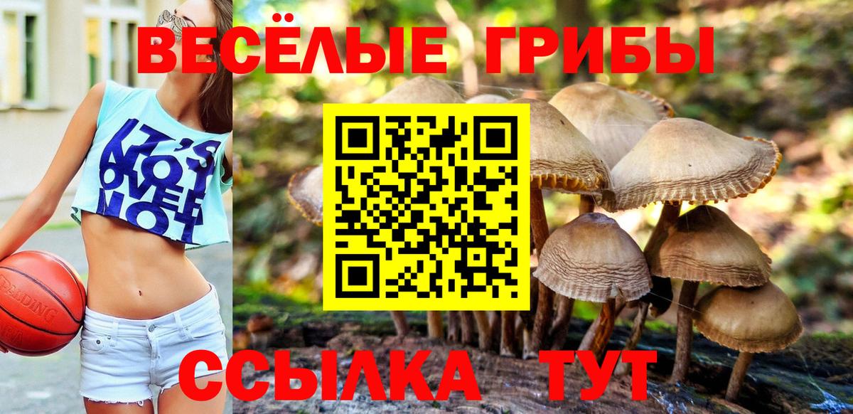 Галлюциногенные грибы мухоморы  Псилоцибиновые грибы Cubensis  Вход с VPN  Переславль-Залесский 