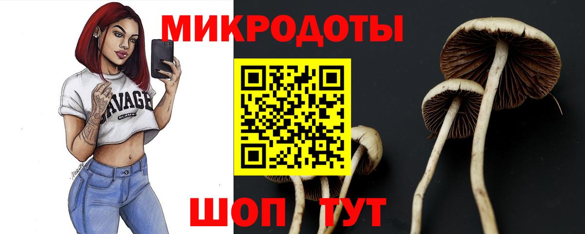 Псилоцибиновые грибы ЛСД Переславль-Залесский