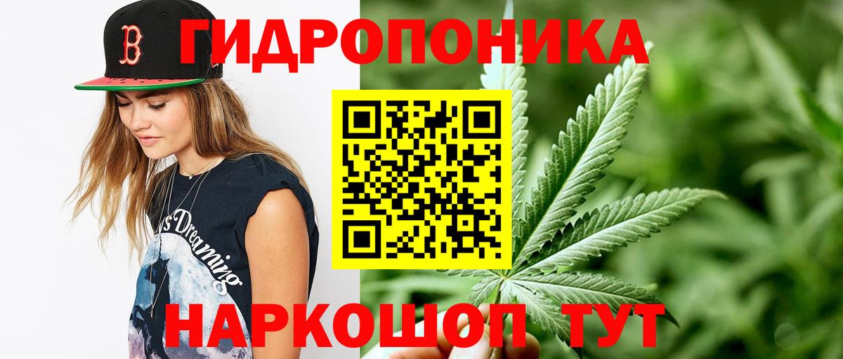 Каннабис план  Переславль-Залесский  Шишки марихуана OG Kush  Канабис тримм 